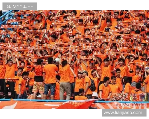 武汉排球队意识争议引发热议球迷与专家观点碰撞激烈