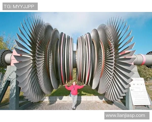 武汉羽毛球队整体压制革新之路探秘与未来展望