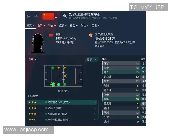 全球足球明星及其国籍背景深度解析与介绍