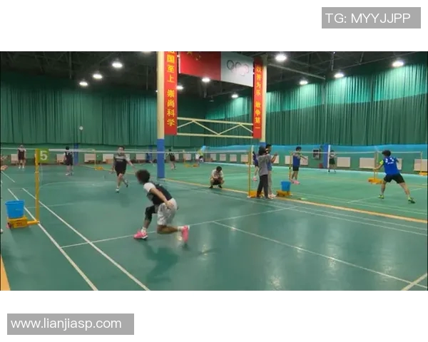 南京羽毛球队在城市联赛中的心理素质表现分析与点评